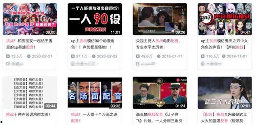 独家爆料配音视频大全,配音视频大全背后的精彩故事